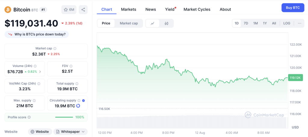 نمودار قیمت روزانه و اطلاعات بازار بیت کوین - منبع: CoinMarketCap